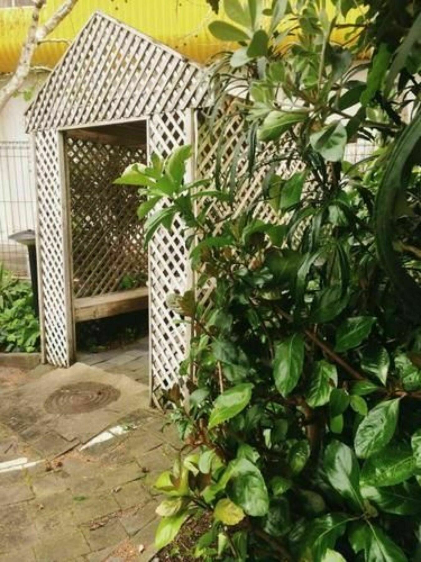 Manukau Motor Lodge Όκλαντ Εξωτερικό φωτογραφία